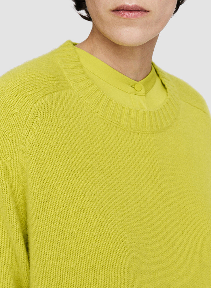 RD NK LS OPEN CMRE TOP GINGKO