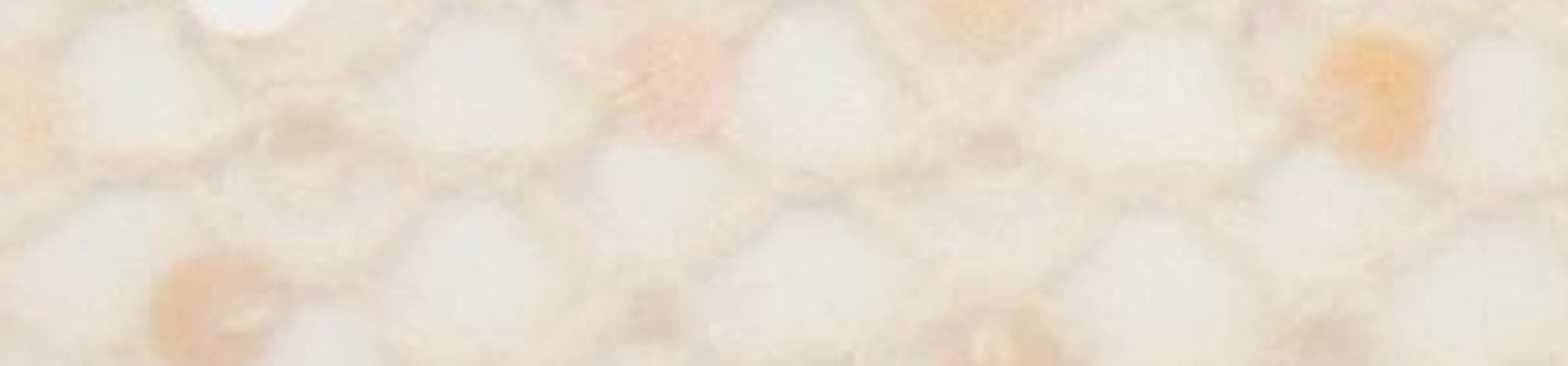 resolved:gid://shopify/Product/10403228451138
