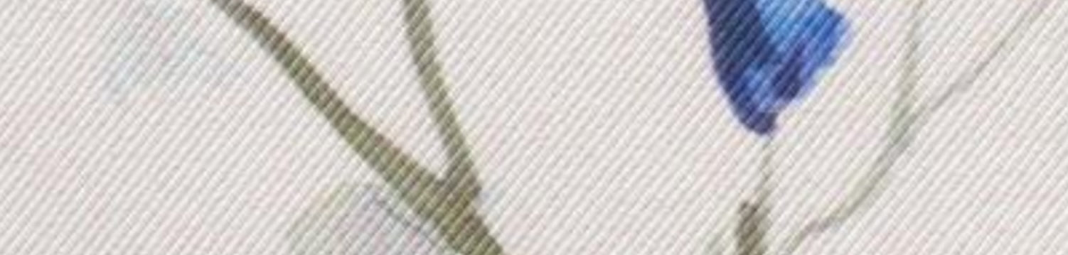 resolved:gid://shopify/Product/10403228713282