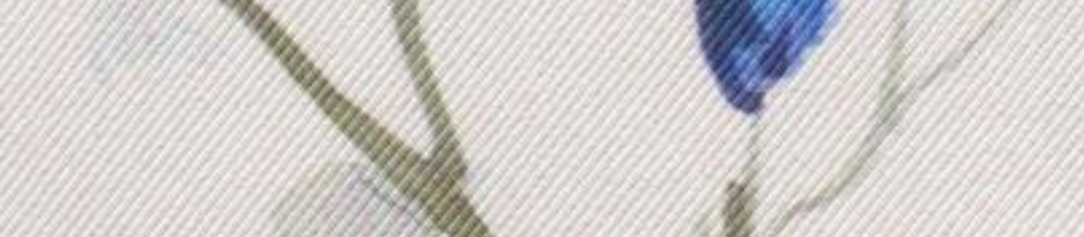 resolved:gid://shopify/Product/10403232579906