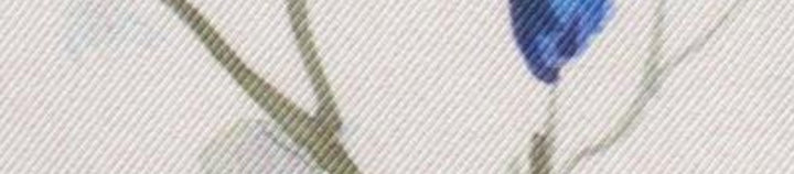 resolved:gid://shopify/Product/10403232579906