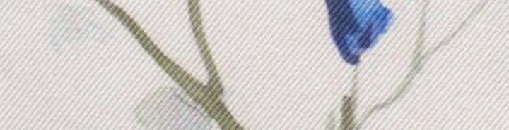 resolved:gid://shopify/Product/10403237265730