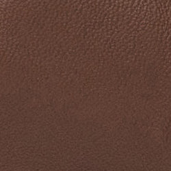 ALANA LTHR PANTS ARABICA